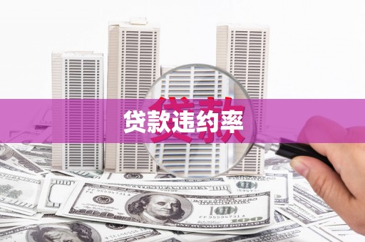 三亚贷款违约率