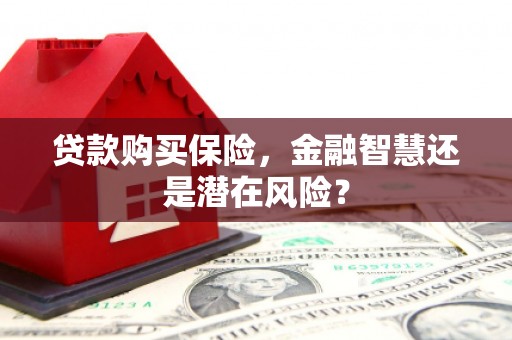 三亚贷款购买保险，金融智慧还是潜在风险？