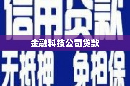 三亚金融科技公司贷款