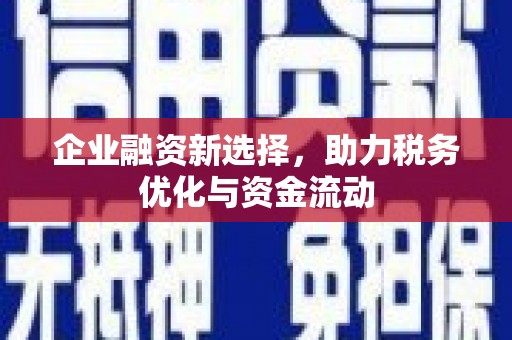 三亚企业融资新选择，助力税务优化与资金流动