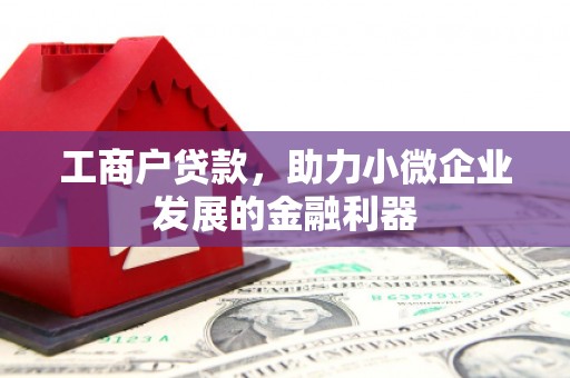 三亚工商户贷款，助力小微企业发展的金融利器
