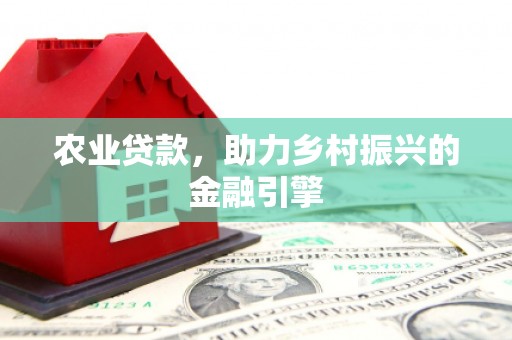 三亚农业贷款，助力乡村振兴的金融引擎
