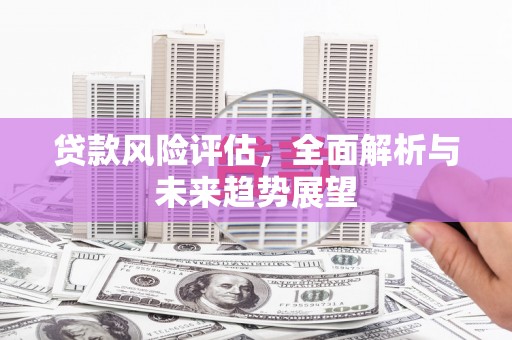 三亚贷款风险评估，全面解析与未来趋势展望