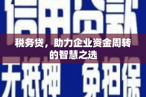 三亚税务贷，助力企业资金周转的智慧之选