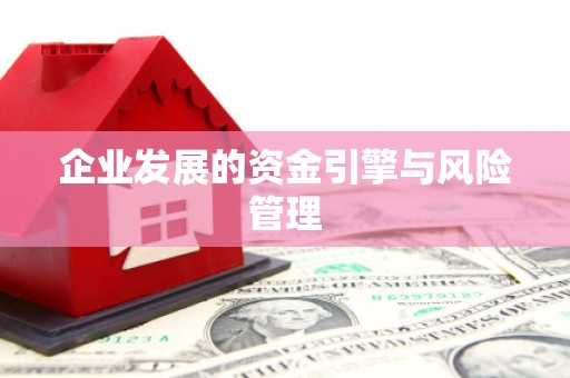 三亚企业发展的资金引擎与风险管理