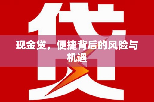 三亚现金贷，便捷背后的风险与机遇