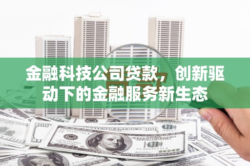 三亚金融科技公司贷款，创新驱动下的金融服务新生态