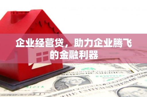 三亚企业经营贷，助力企业腾飞的金融利器