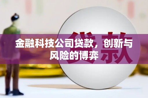 三亚金融科技公司贷款，创新与风险的博弈