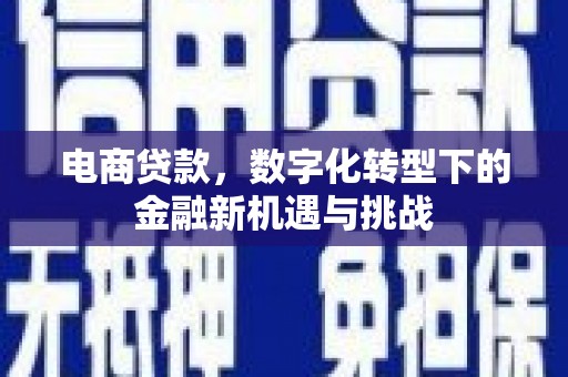 三亚电商贷款，数字化转型下的金融新机遇与挑战