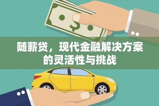 三亚随薪贷，现代金融解决方案的灵活性与挑战