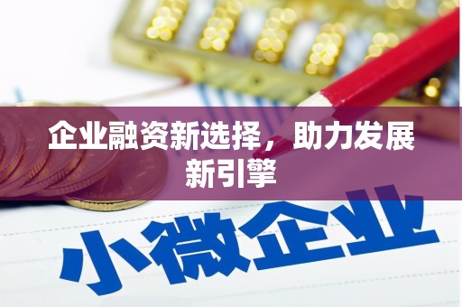 三亚企业融资新选择，助力发展新引擎