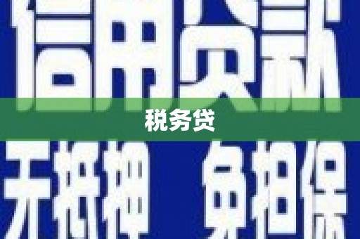 三亚税务贷