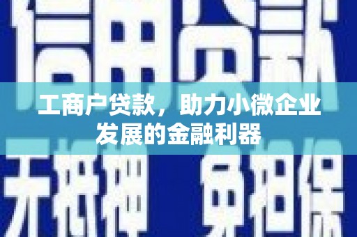 三亚工商户贷款，助力小微企业发展的金融利器