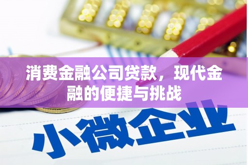三亚消费金融公司贷款，现代金融的便捷与挑战