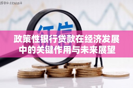三亚政策性银行贷款在经济发展中的关键作用与未来展望