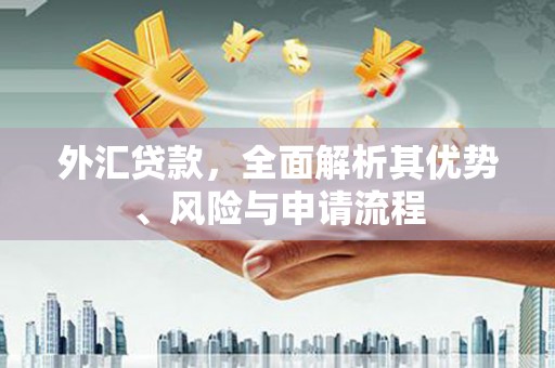 三亚外汇贷款，全面解析其优势、风险与申请流程