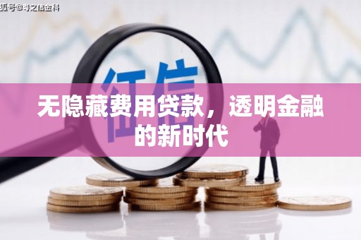 三亚无隐藏费用贷款，透明金融的新时代