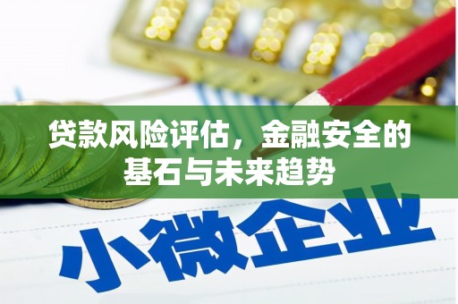 三亚贷款风险评估，金融安全的基石与未来趋势