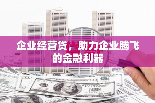 三亚企业经营贷，助力企业腾飞的金融利器