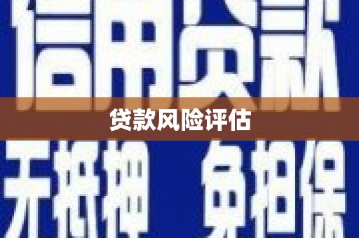 三亚贷款风险评估