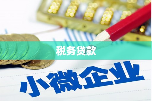 三亚税务贷款