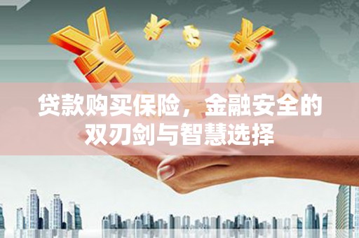 三亚贷款购买保险，金融安全的双刃剑与智慧选择