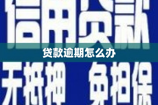 三亚贷款逾期怎么办