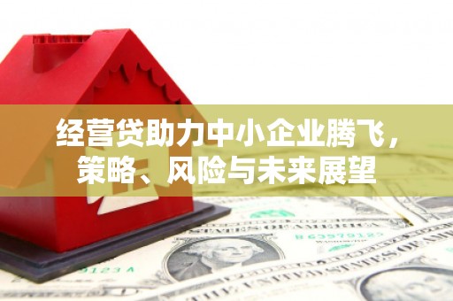 三亚经营贷助力中小企业腾飞，策略、风险与未来展望