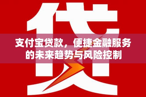 三亚支付宝贷款，便捷金融服务的未来趋势与风险控制