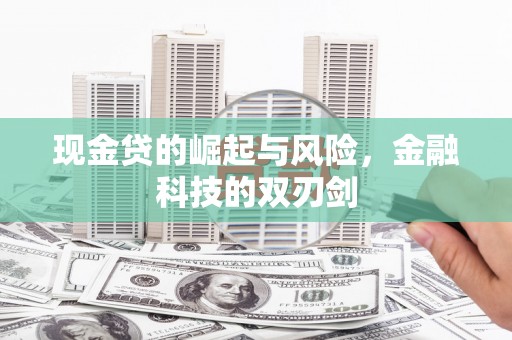 三亚现金贷的崛起与风险，金融科技的双刃剑