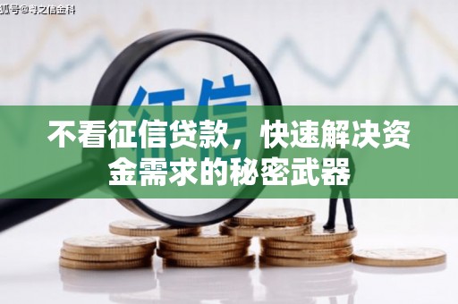 三亚不看征信贷款，快速解决资金需求的秘密武器