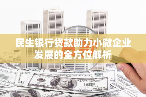 三亚民生银行贷款助力小微企业发展的全方位解析