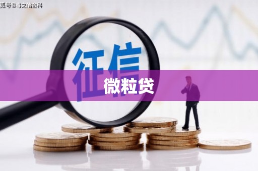 三亚微粒贷