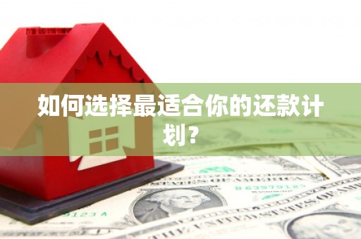 三亚如何选择最适合你的还款计划？