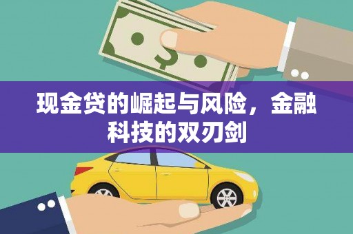 三亚现金贷的崛起与风险，金融科技的双刃剑