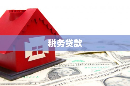 三亚税务贷款