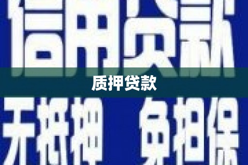 三亚质押贷款