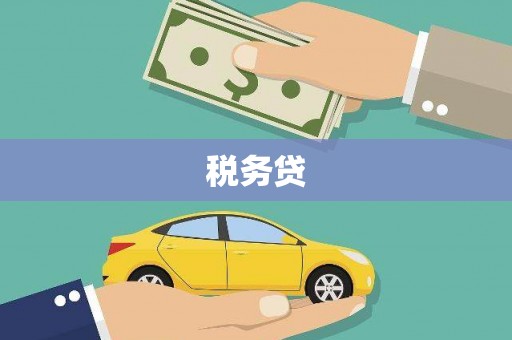 三亚税务贷