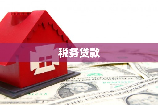 三亚税务贷款