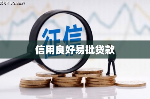 三亚信用良好易批贷款