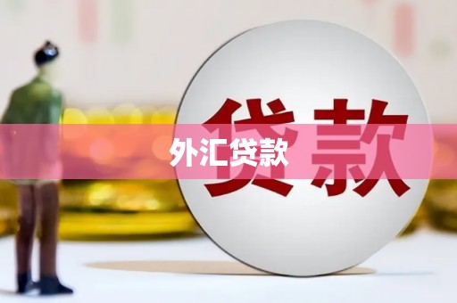 三亚外汇贷款