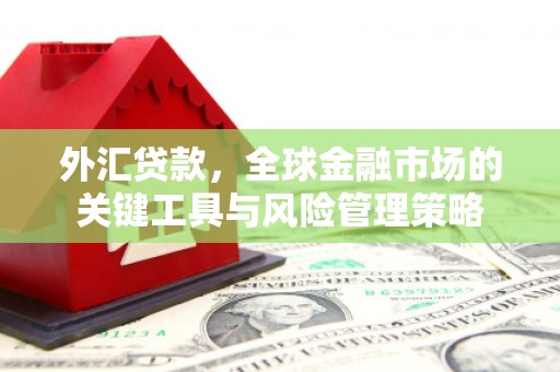 三亚外汇贷款，全球金融市场的关键工具与风险管理策略