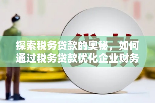 三亚探索税务贷款的奥秘，如何通过税务贷款优化企业财务