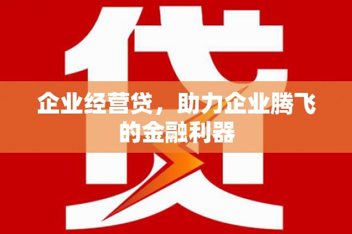 三亚企业经营贷，助力企业腾飞的金融利器