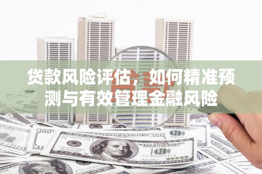 三亚贷款风险评估，如何精准预测与有效管理金融风险