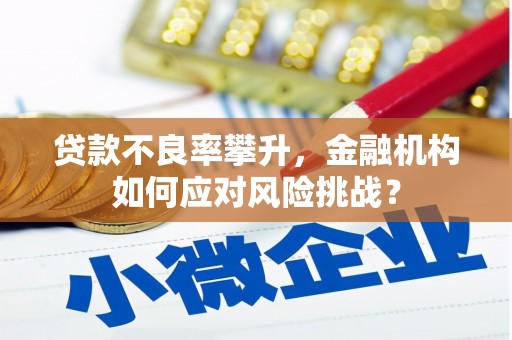 三亚贷款不良率攀升，金融机构如何应对风险挑战？