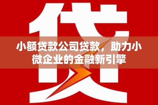 三亚小额贷款公司贷款，助力小微企业的金融新引擎