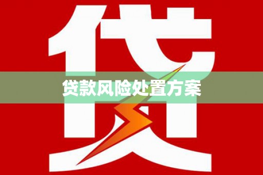 三亚贷款风险处置方案