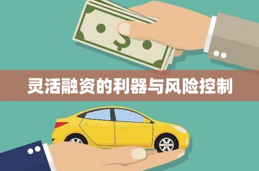 三亚灵活融资的利器与风险控制